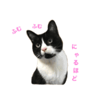 はちロボ8-2（個別スタンプ：2）