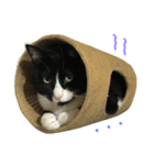 はちロボ8-2（個別スタンプ：4）