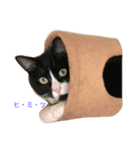 はちロボ8-2（個別スタンプ：6）