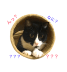 はちロボ8-2（個別スタンプ：7）