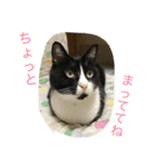 はちロボ8-2（個別スタンプ：12）