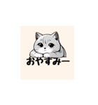 まいにち猫〜日常〜（個別スタンプ：8）