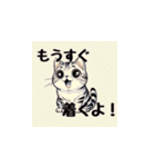 まいにち猫〜日常〜（個別スタンプ：12）