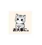 まいにち猫〜日常〜（個別スタンプ：16）