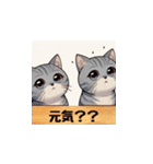 まいにち猫〜日常〜（個別スタンプ：21）