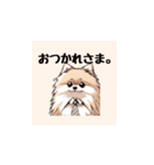 まいにち犬〜日常〜（個別スタンプ：16）