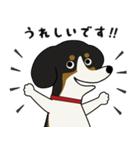 敬語挨拶*年末年始の挨拶も少し*黒ビーグル（個別スタンプ：16）