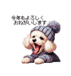 ドット絵 冬のトイプードル 冬支度（個別スタンプ：2）