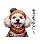 ドット絵 冬のトイプードル 冬支度（個別スタンプ：8）