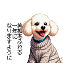 ドット絵 冬のトイプードル 冬支度（個別スタンプ：15）