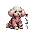 ドット絵 冬のトイプードル 冬支度（個別スタンプ：20）