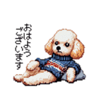 ドット絵 冬のトイプードル 冬支度（個別スタンプ：25）