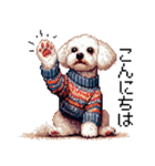 ドット絵 冬のトイプードル 冬支度（個別スタンプ：27）