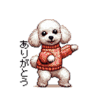 ドット絵 冬のトイプードル 冬支度（個別スタンプ：30）