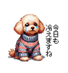 ドット絵 冬のトイプードル 冬支度（個別スタンプ：31）