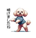 ドット絵 冬のトイプードル 冬支度（個別スタンプ：34）