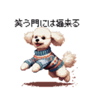 ドット絵 冬のトイプードル 冬支度（個別スタンプ：35）