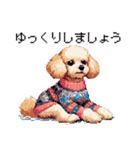 ドット絵 冬のトイプードル 冬支度（個別スタンプ：37）