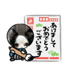 年賀チワワ（個別スタンプ：3）