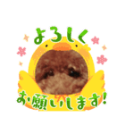 ウチの子みんとのスタンプ（個別スタンプ：16）