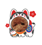 ウチの子みんとのスタンプ（個別スタンプ：22）