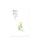 俳句 花（個別スタンプ：6）