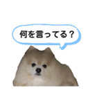 ルークの番ですLINEスタンプ2（個別スタンプ：12）