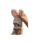 使いにくいと言ったら野良にする。（個別スタンプ：35）