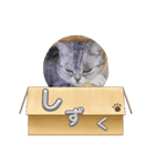 黄昏の日々（個別スタンプ：1）