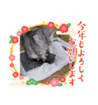 黄昏の日々（個別スタンプ：2）