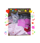 黄昏の日々（個別スタンプ：4）