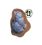 黄昏の日々（個別スタンプ：5）