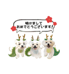 2024年辰年！辰マルチーズで新年のご挨拶♪（個別スタンプ：3）