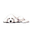 Golden Doodle 8bit Pixel art 40stickers（個別スタンプ：12）