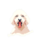 Golden Doodle 8bit Pixel art 40stickers（個別スタンプ：17）