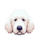 Golden Doodle 8bit Pixel art 40stickers（個別スタンプ：22）