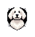 Golden Doodle 8bit Pixel art 40stickers（個別スタンプ：23）