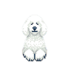 Golden Doodle 8bit Pixel art 40stickers（個別スタンプ：30）