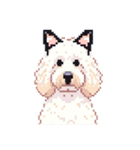 Golden Doodle 8bit Pixel art 40stickers（個別スタンプ：36）