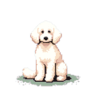 Golden Doodle 8bit Pixel art 40stickers（個別スタンプ：39）