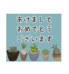 冬のやさしい敬語と挨拶♡お花と多肉植物（個別スタンプ：17）