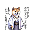 ドット絵 柴犬 新年あけおめ 40種（個別スタンプ：1）