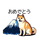 ドット絵 柴犬 新年あけおめ 40種（個別スタンプ：5）