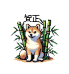 ドット絵 柴犬 新年あけおめ 40種（個別スタンプ：8）