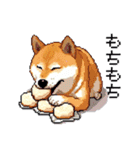 ドット絵 柴犬 新年あけおめ 40種（個別スタンプ：18）