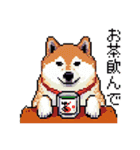 ドット絵 柴犬 新年あけおめ 40種（個別スタンプ：21）