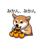 ドット絵 柴犬 新年あけおめ 40種（個別スタンプ：22）