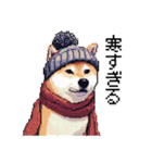 ドット絵 柴犬 新年あけおめ 40種（個別スタンプ：31）