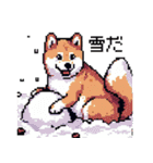 ドット絵 柴犬 新年あけおめ 40種（個別スタンプ：36）