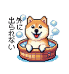 ドット絵 柴犬 新年あけおめ 40種（個別スタンプ：37）